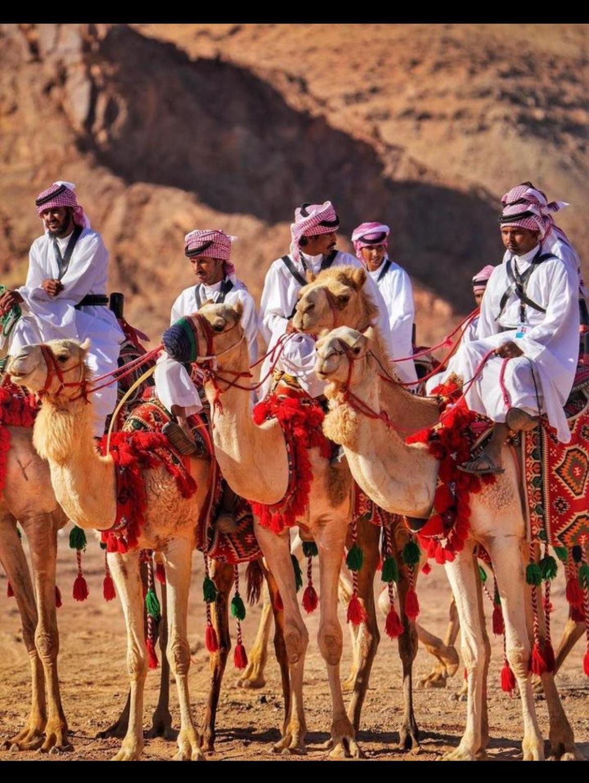 Mozoon Camp Hotel Wadi Rum Exterior foto